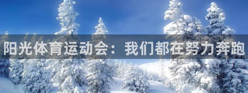 杏运凯捷平台
