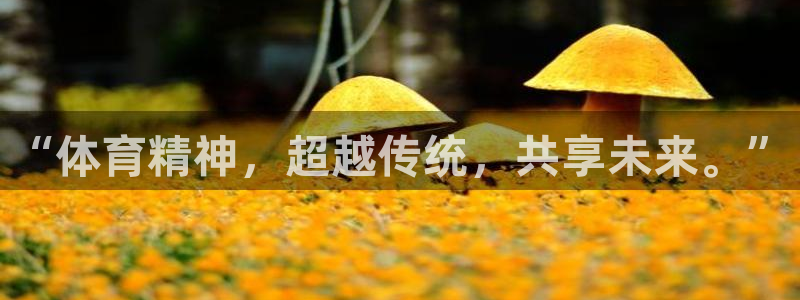 杏运汽车厂家地址