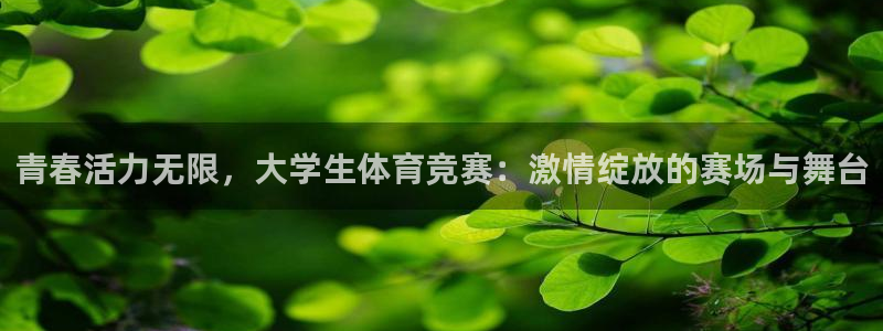 杏运体育注册