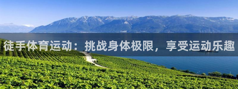 杏运集团股票