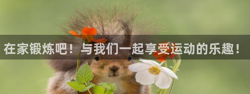 杏运体育官网
