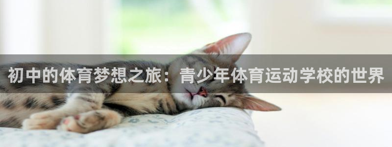 杏运达贝是什么