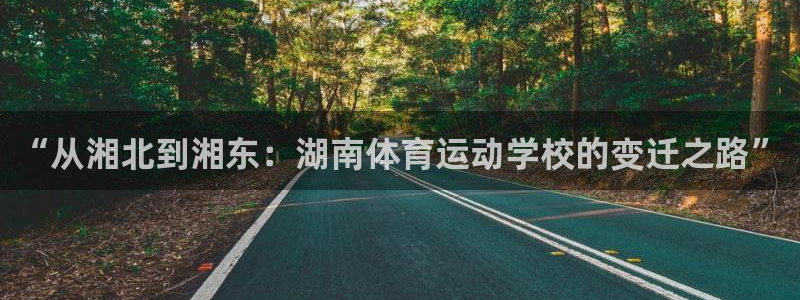 成都杏运电子有限公司