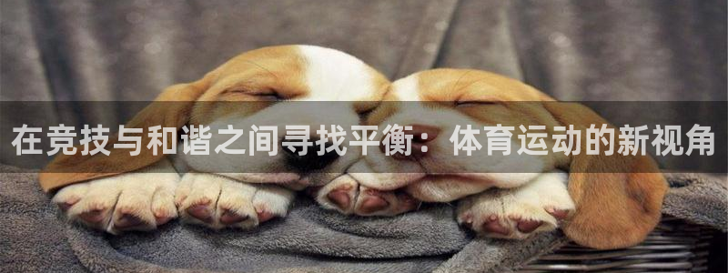 杏运新能源汽车