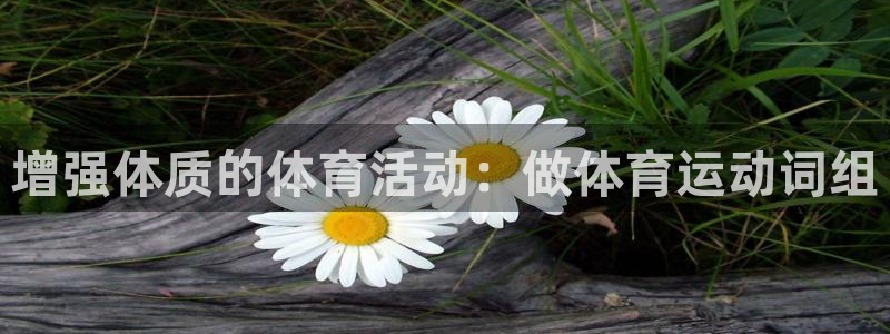 杏运电动汽车多少钱一辆