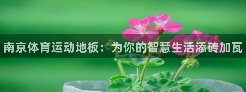 杏运3登陆