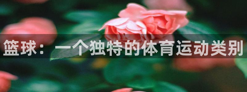 杏运娱乐
