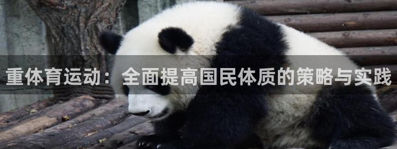 杏运3官网