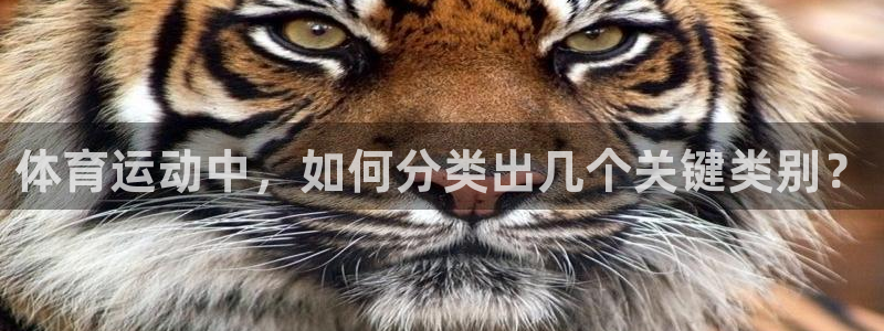 杏运平台开户链接
