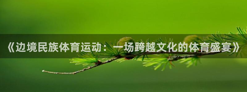 成都杏运电子有限公司