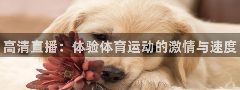 杏运f凯捷注册