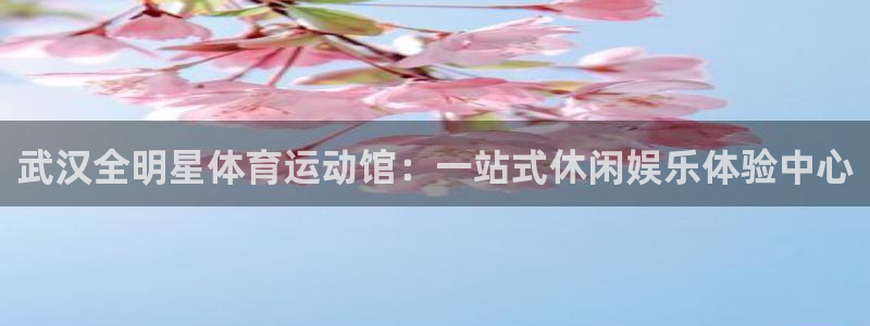 杏运汽车官网