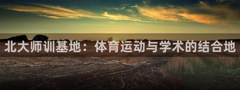 杏运体育用品