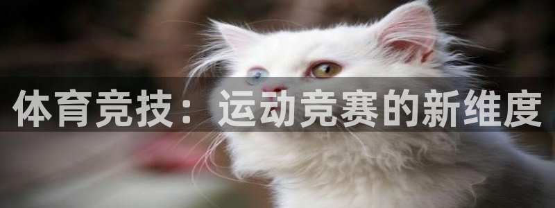 杏运体育热门赛事有哪些
