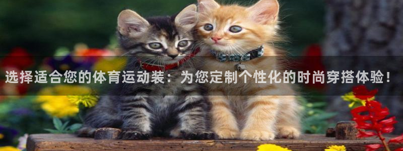 杏运登录