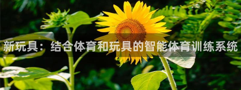 杏运体育1招商