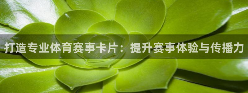 杏运3代理