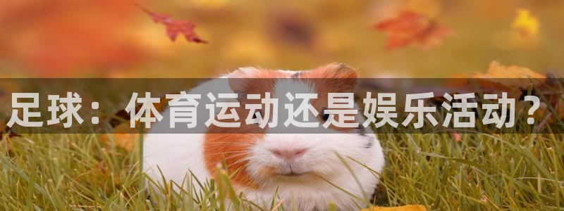 山东杏运新能源汽车有限公司