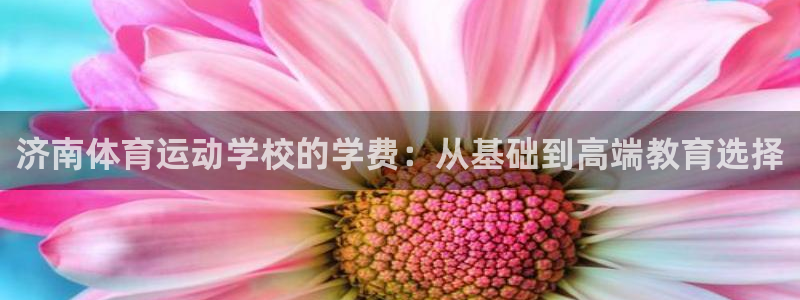 杏运体育平台注册