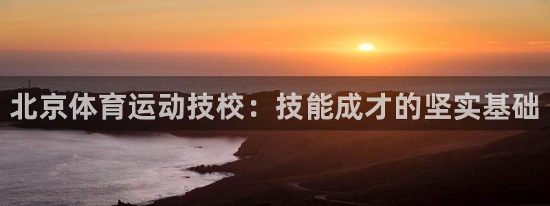 杏运电动汽车多少钱一辆
